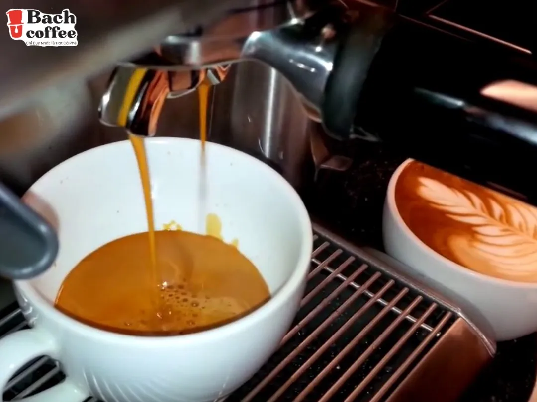 
100% Peaberry Coffee Beans / Light- Medium Roast -Fresh Roasted Coffee / Direct-trade / Hand- Picked and Small Batch. 