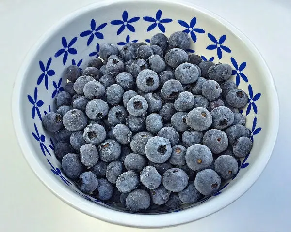 Frozen Blueberries
