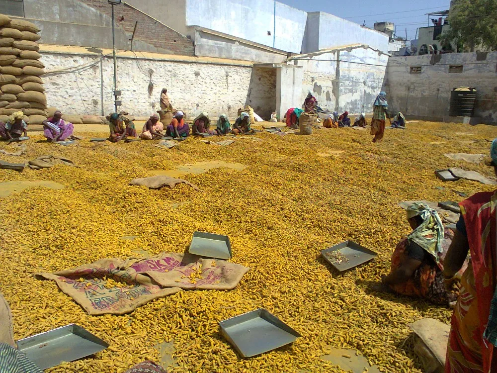 Turmeric Curcumin 95%  Capsules TURMERIC EXTRACT CAPSULES