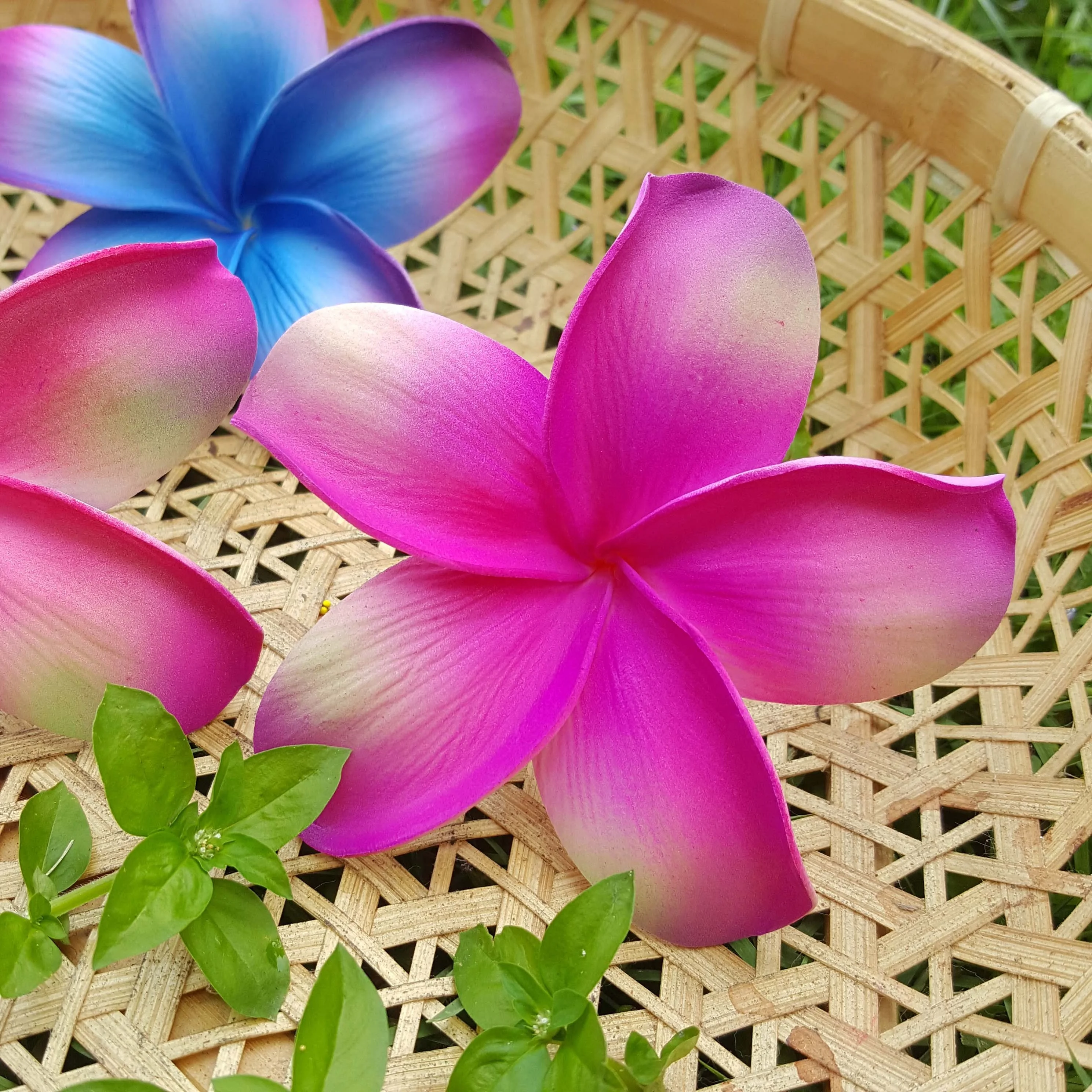 Лидер продаж товар из тайского магазина Plumeria Frangipani пенный цветок с уникальной кисточкой (упаковка 100 штук)