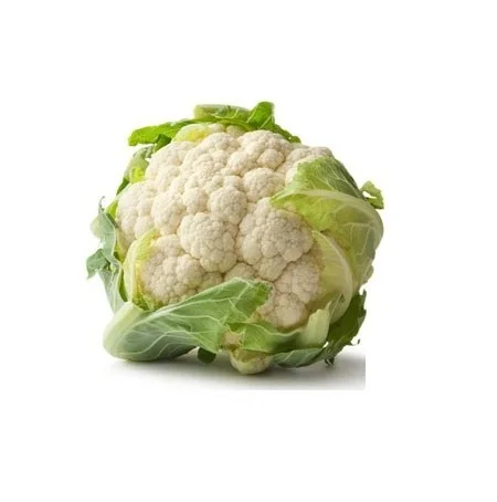 Natural Quality Best Price Fresh Vegetables Cauliflower Available In Bulk