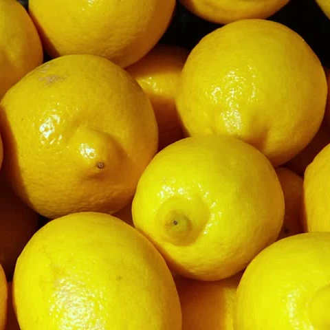 Hot Sale Cheap Fresh Green and Yellow Eureka Lemons