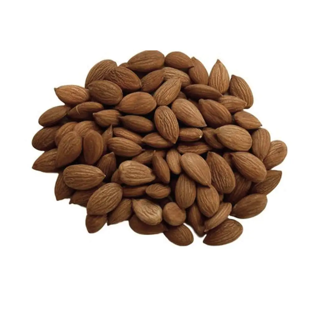 Apricot kernels for sale