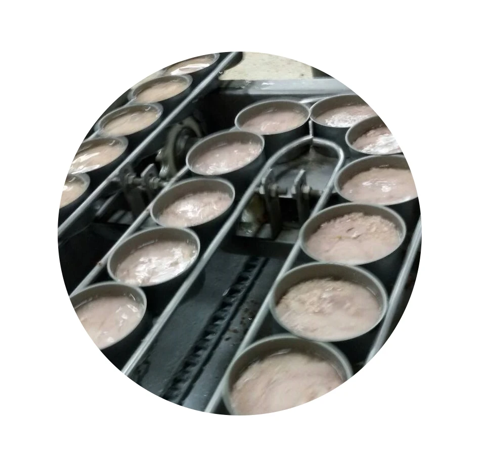 Canned tuna chunks in vegetable oil