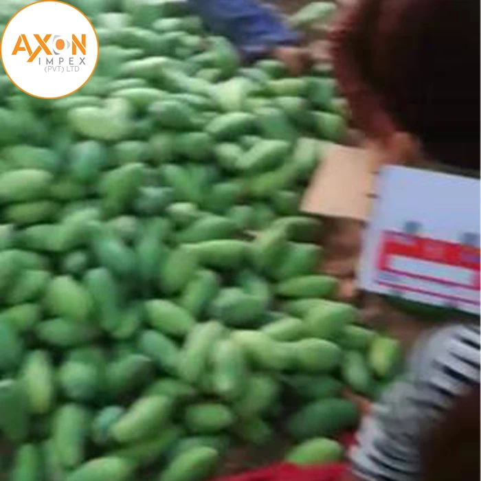 
A+ Grade Chaunsa Mangoes For Sale/High Quality Chaunsa Mangos From Pakistan 