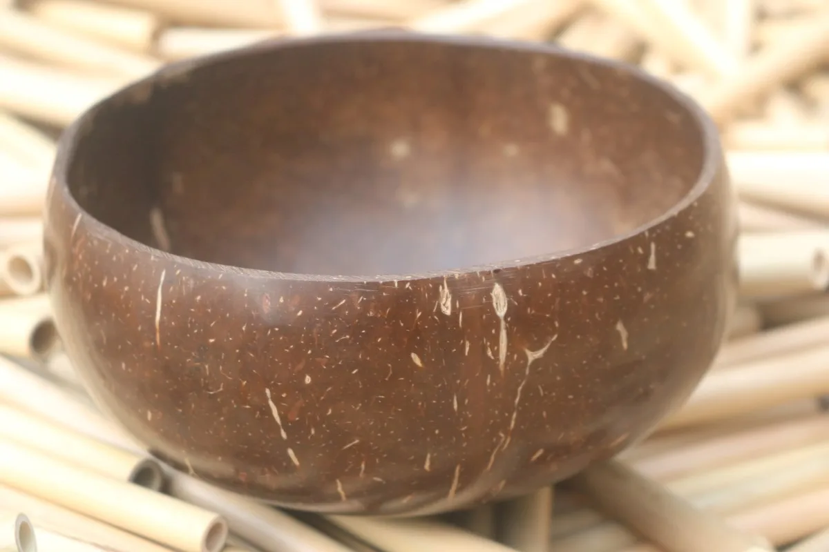 Retractable drinking straws with cleaning brush