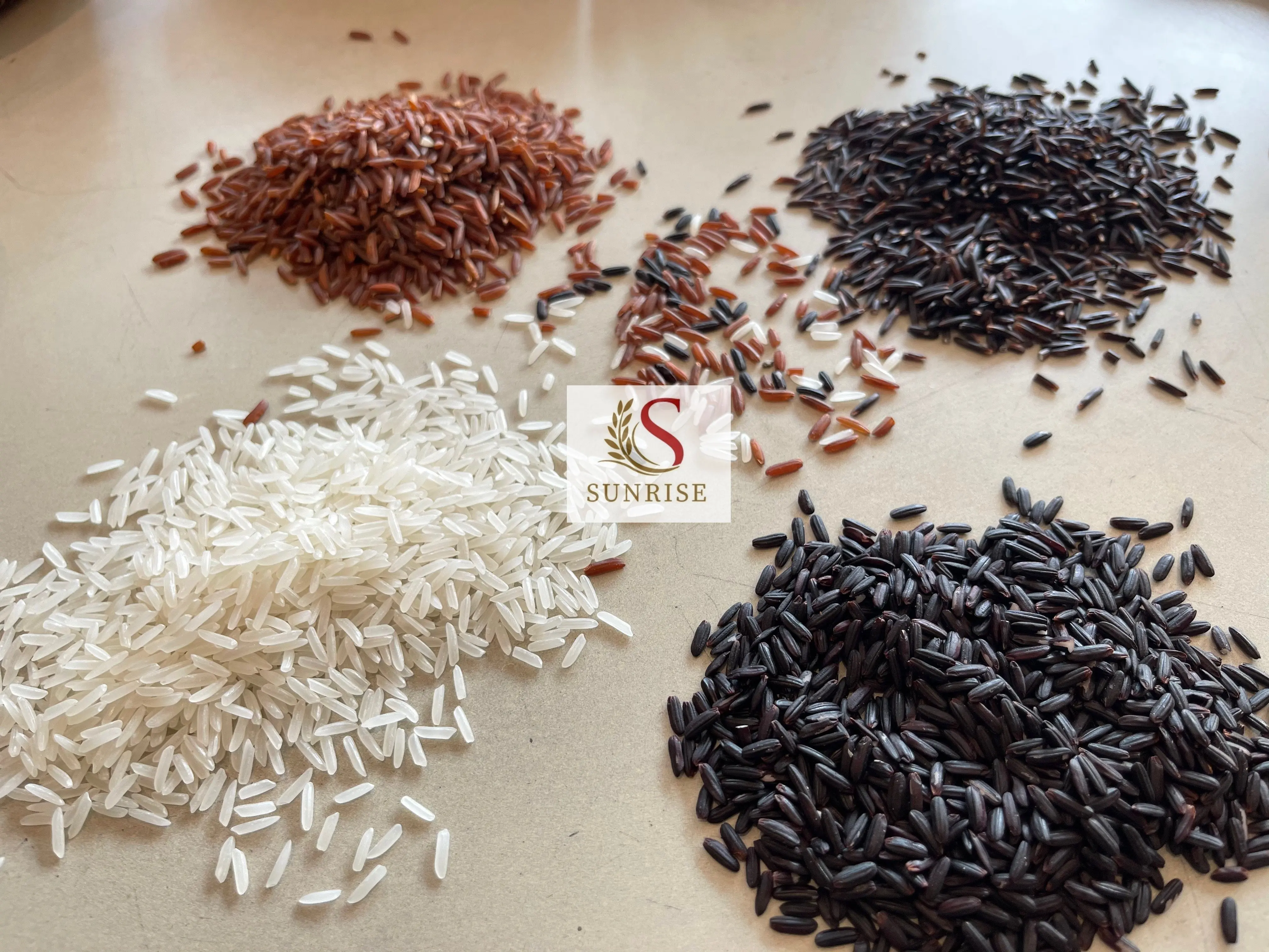 Vietnam Organic Black Rice - Healthy Nutritional food rich vitamin (Mobile/ WA: +84986778999 David)