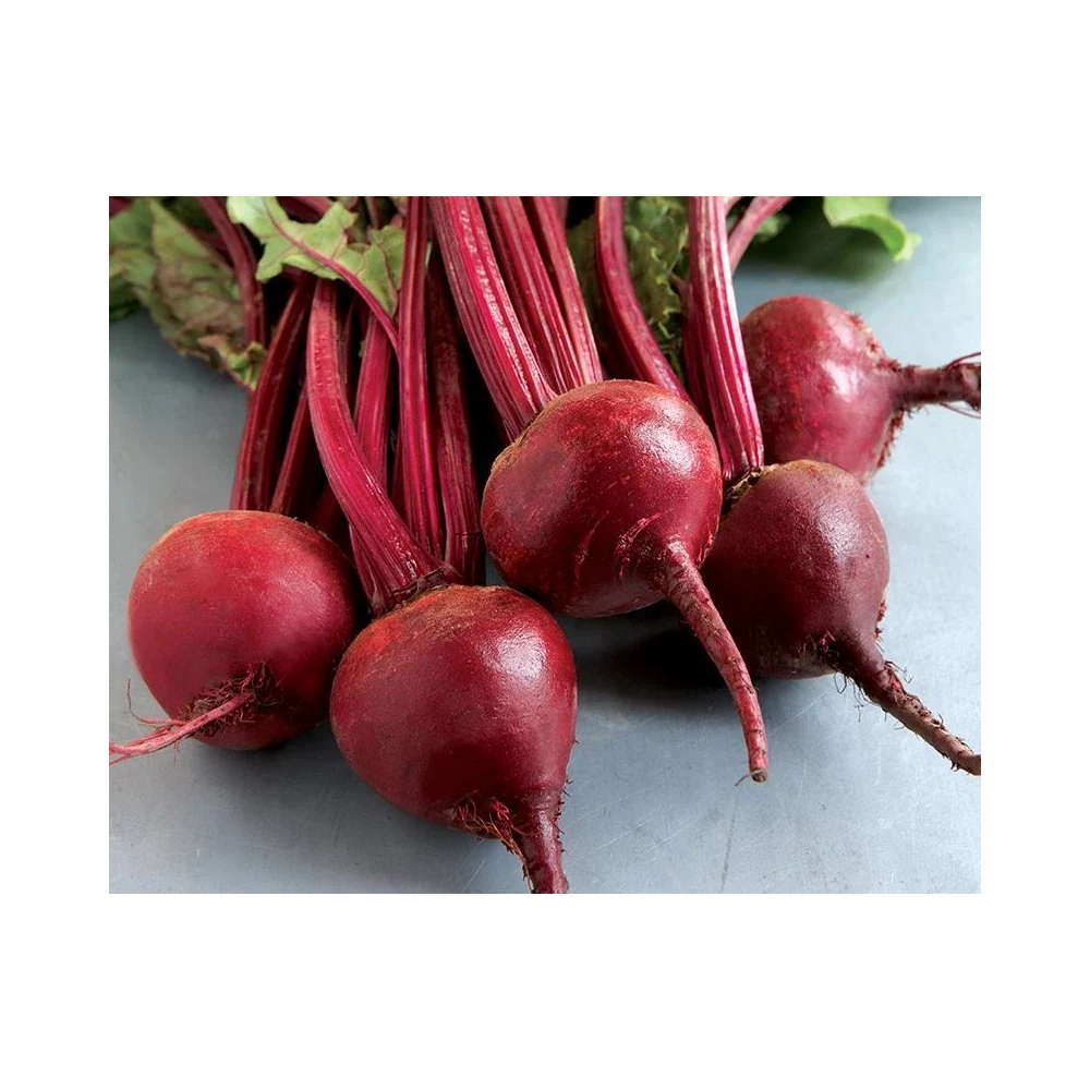 Fresh Beetroot Suppliers In India