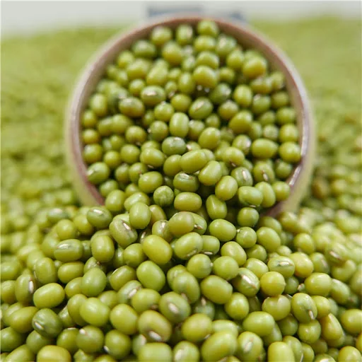 
Quality Agricultural crop Bulk Packaging specifications The most nutritious green mung bean 