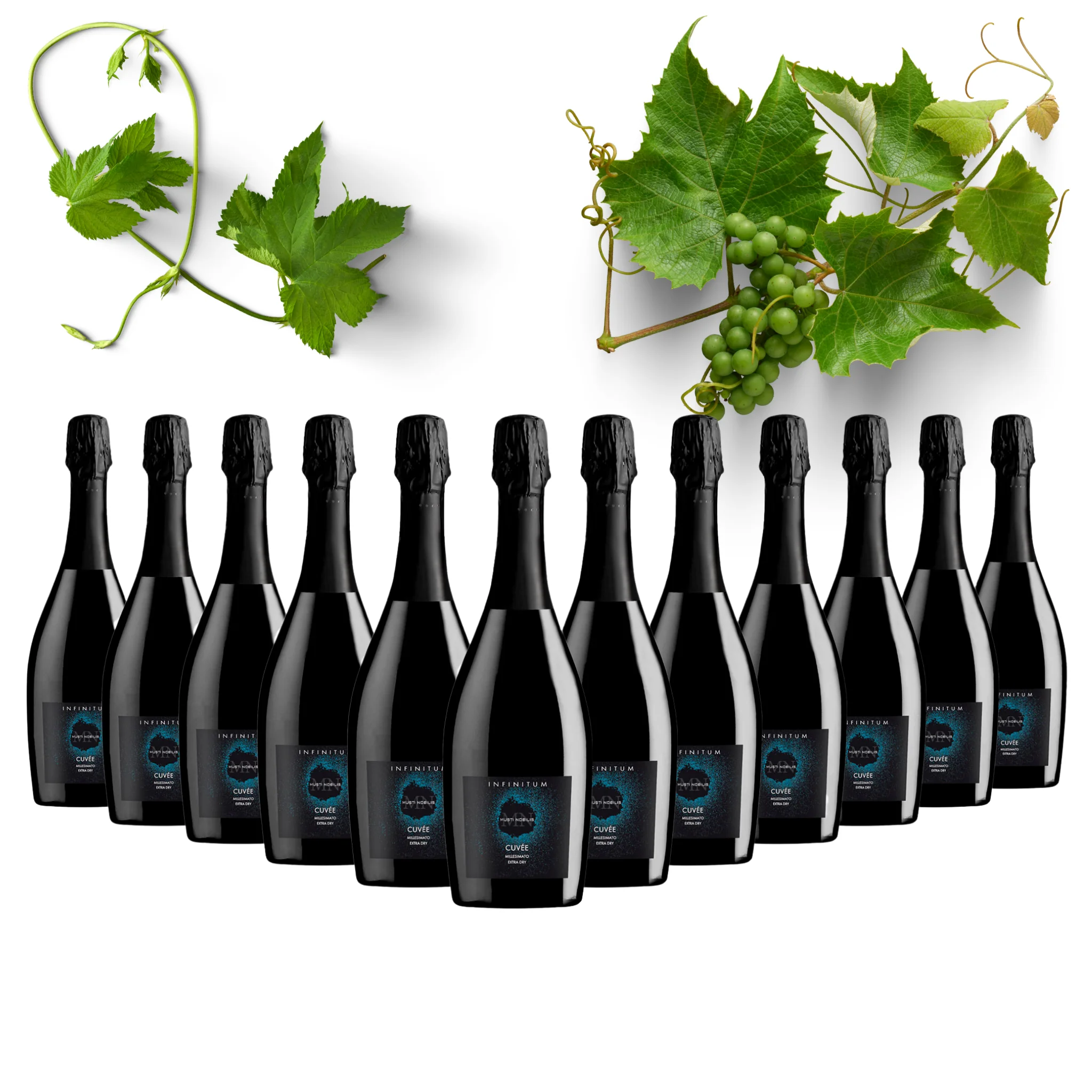 Sparkling Wine Italian Cuvee Extra Dry Millesimato  - Infinitum - sparkling wine price bottles 750 ml alcohol 11% for export