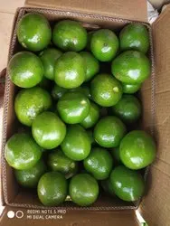  AVACADO горячая Распродажа свежий высококачественный органический