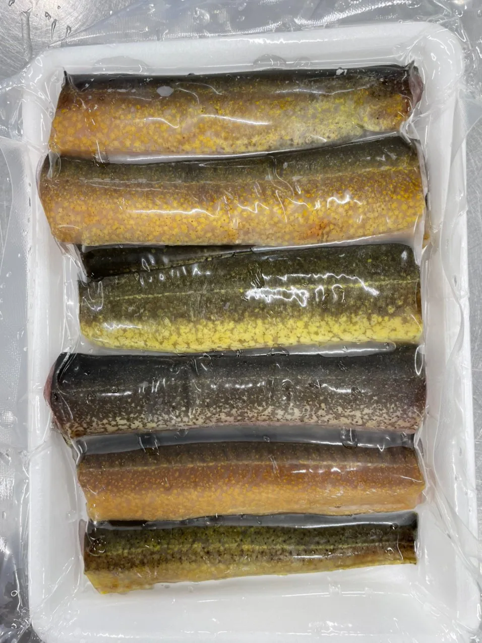 Eel fish fillet Factory Supply Wholesale Eel Frozen cleaned eel meat made in Vietnam Frezze frozen sea