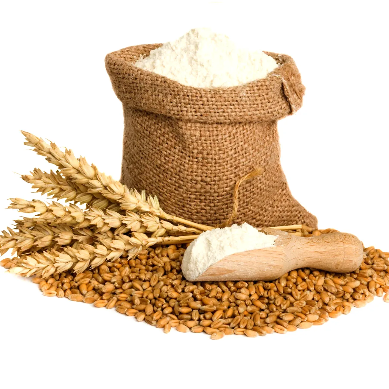
Kazakhstan Wheat Origin Soft Wheat Flour price 