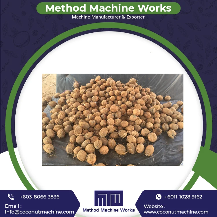 Fresh Organic Dehusked Coconuts for Sale Cheap Price Young Coconut Dehusking Supplier in Malaysia