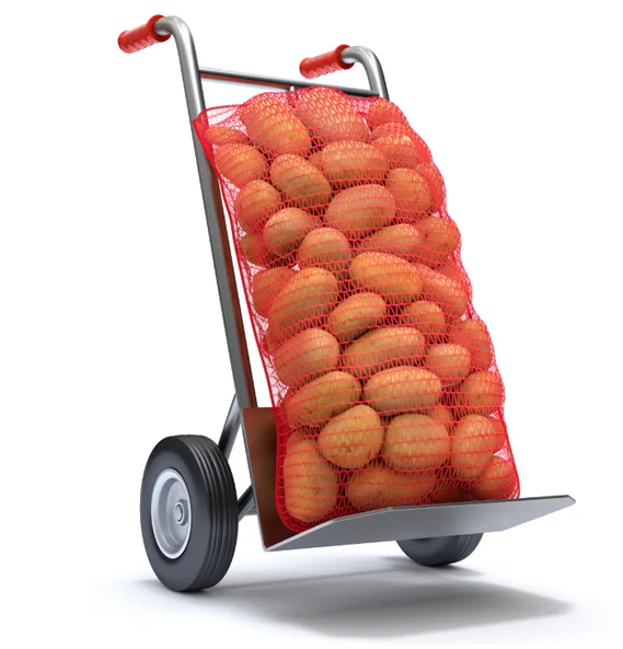 
Finest Quality Big Size Fresh Potatoes From Pakistan / Wholesale Price, Bulk Quantities / Import Potatoes in Bulk 