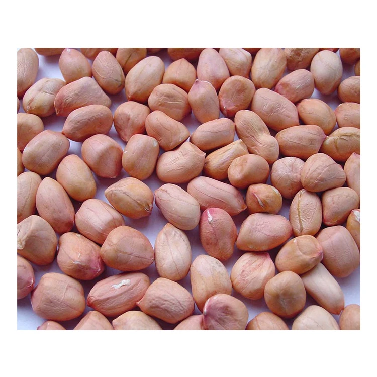 Заводской Прямой поставщик сырых сушеных арахиса Java-типа/арахиса для продажи