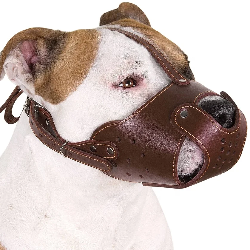 
Leather Dog Muzzle Pit-bull Am-staff Stafford shire Terrier Genuine Secure Basket 