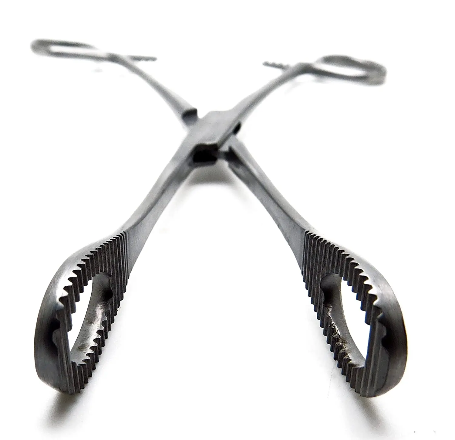 foerster sponge forceps 12inch straight serrated surgical holding veterinary instruments