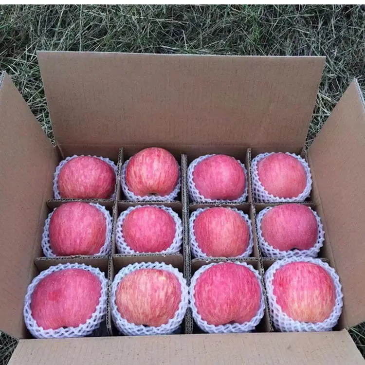 Belgium sweet fresh royal gala apple fresh and red star apples and other fresh fruits at wholesale