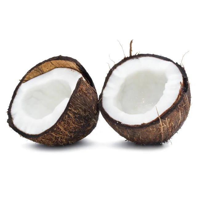 Supplier dessicated coconut low fat desiccated coconut low fat snacks food coconut powder