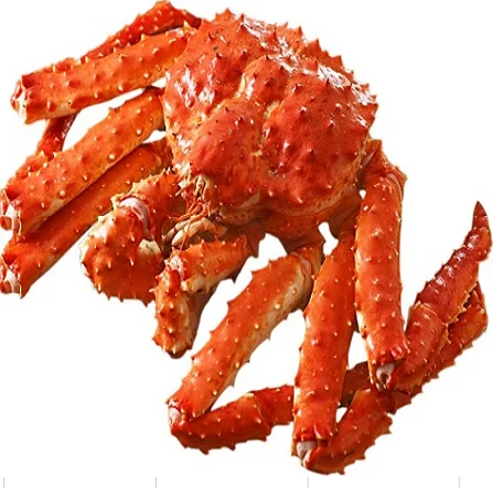 Cheap Price Live Red King Crab Norwegian King Crab Alaskan King Crab