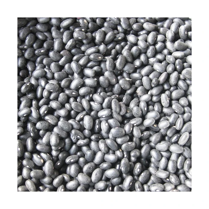 Non- Gmo Premium Hot Selling China Price Of Black Kidney Beans Available at cheap price