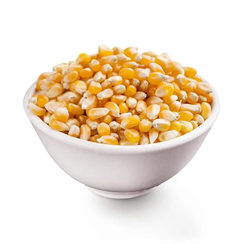 Wholesale Price Yellow Corn High Quality Yellow Maize Corn for Animal Feed Supplier.