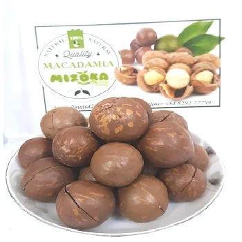 
macadamia nuts best seller macadamia nuts best quality from Vietnam 