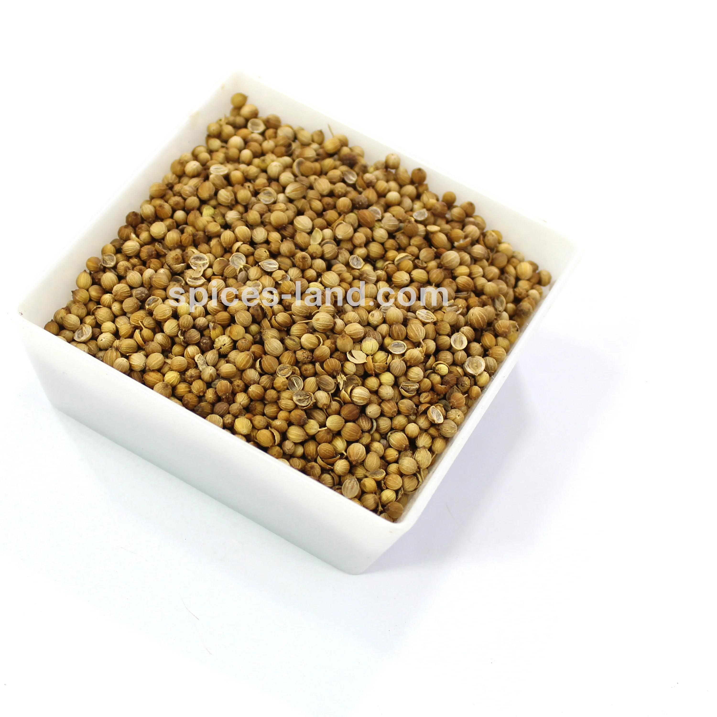 
(SPICES LAND for EXPORT) Coriander Seed for - BEST QUALITY, BEST PRICES AD Single Herbs & Spices Dried Raw Granule BRC ISO 
