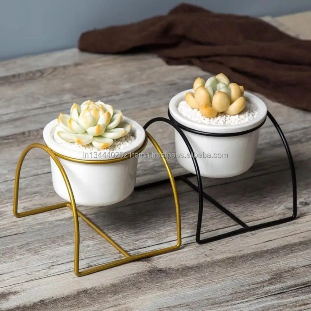 Mini Grow Pot Seed Start Tray Plant Kit Flowers Planter Pots and Seeds