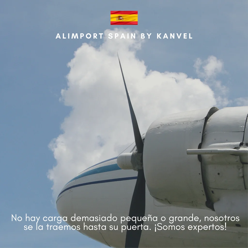 Служба таможенного оформления Ddp включает таможенное оформление Ddp Amazon Доставка Ups логистика курьерская служба в Испанию