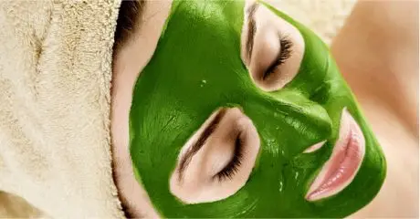 Сухой порошок из зеленых водорослей/морские водоросли улва лактука-MS. ELAINE + 84 375 431 541