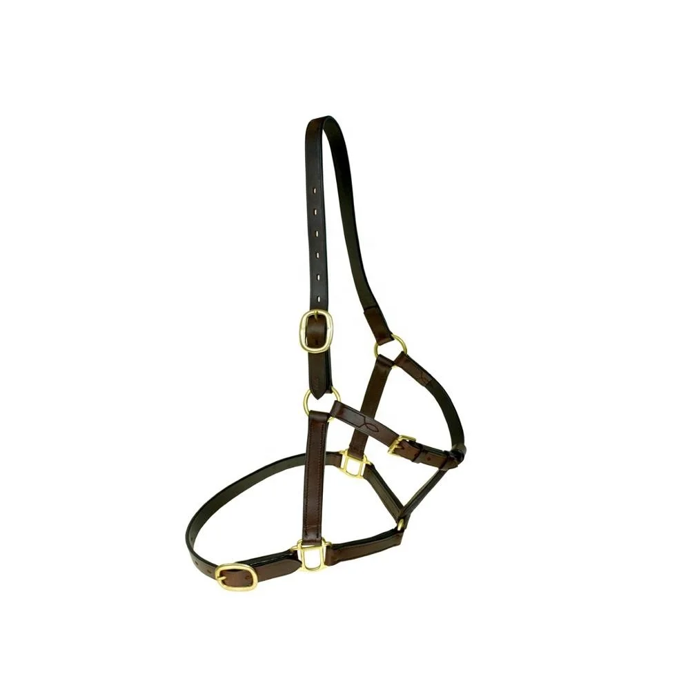 Best Selling Long Lasting Fine-Finish Leather Horse Halter Manufacture in India Wholesale Prices Horse Halter
