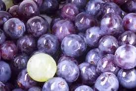 FRESH GRAPES SEEDLESS