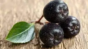  Органические полностью сушеные ягоды Aronia chokeberry оптом органические