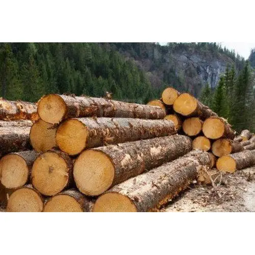 timber logs