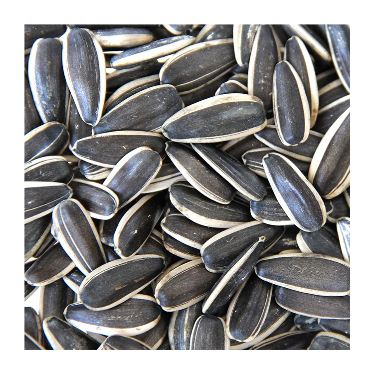Поставщик ядер семян черного подсолнечника Длинная форма 99.9% мин 10% макс