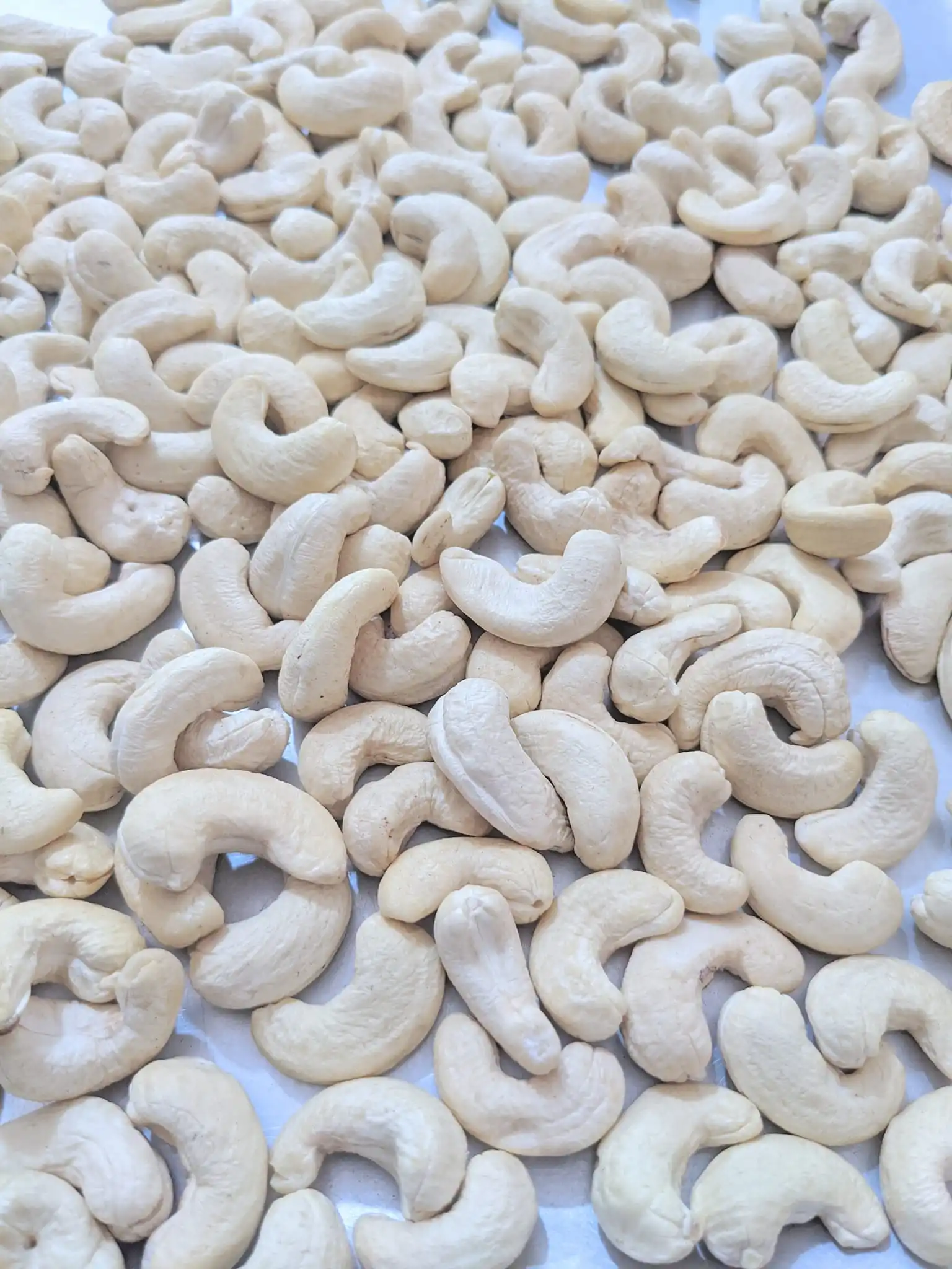 100% Processed VIetnam Organic natural nuts, organic cashew nuts All Grades WW, WS, BB, SW, SK  - Export to Worldwide