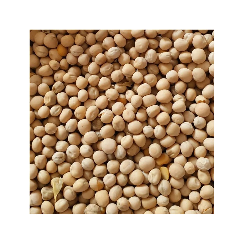 
Premium quality natural peas in bulk, wholesale prices 