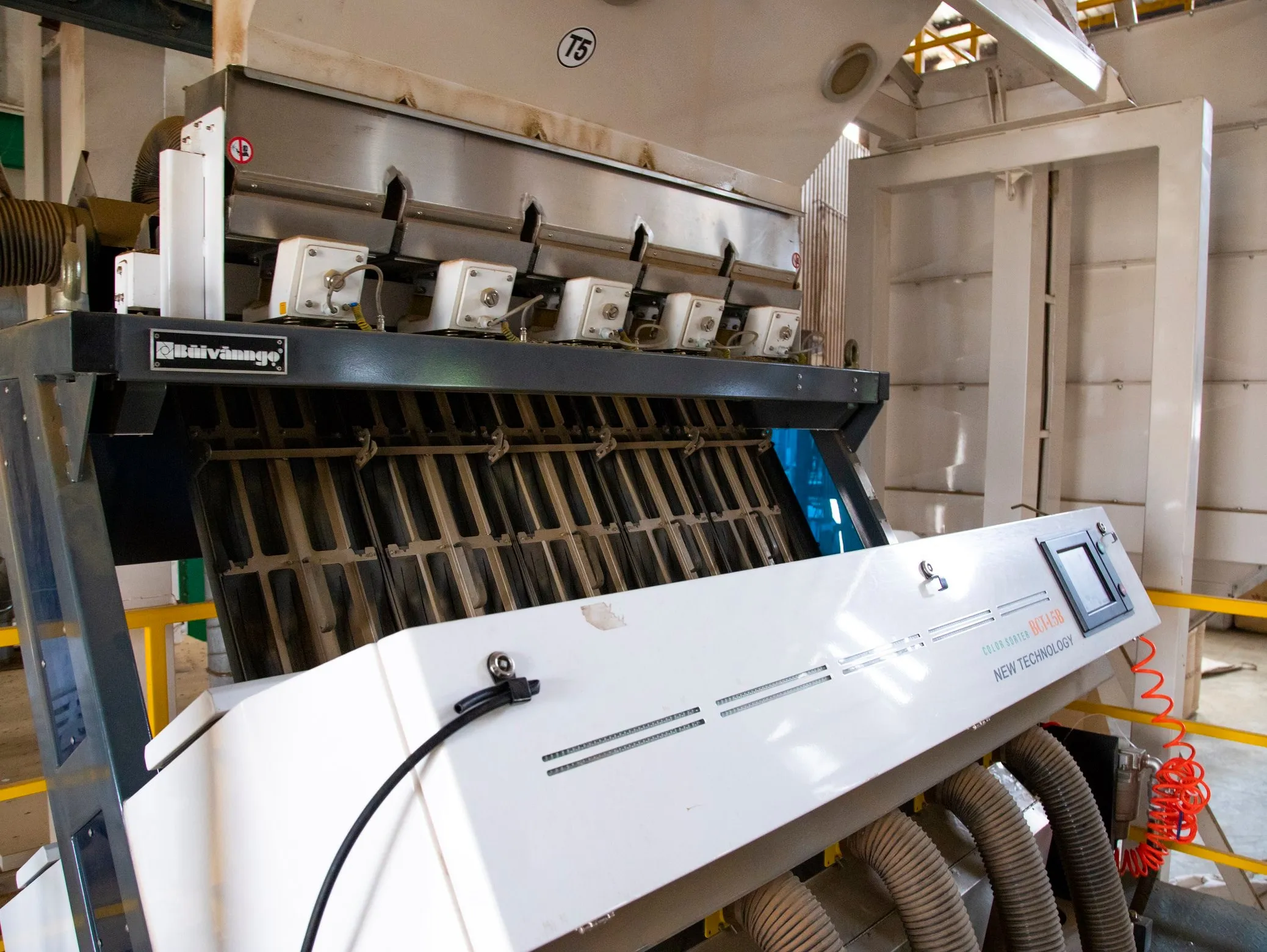 
Coffee bean Robusta G2 5% 