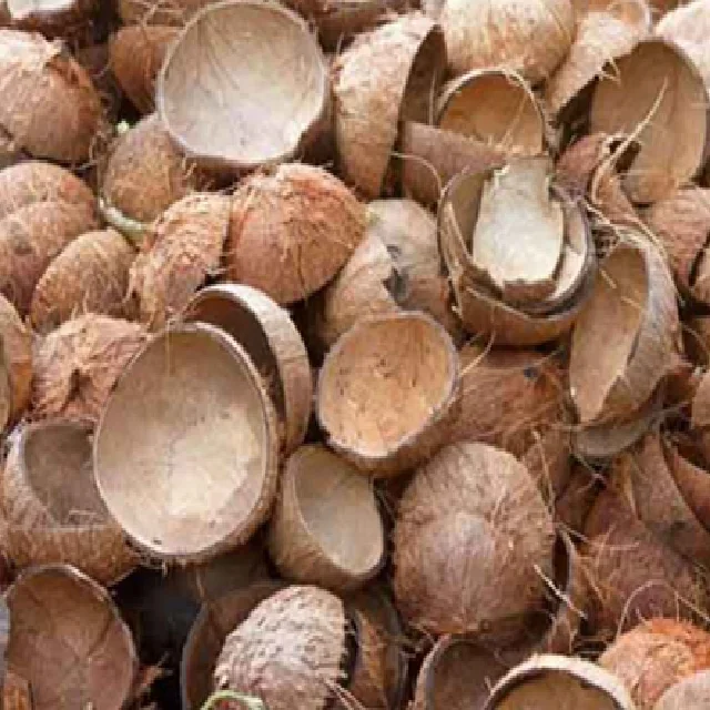 Premium Quality of Indian standard RAW COCONUT SHELL handicraft applies and other applications available at competitive prices.