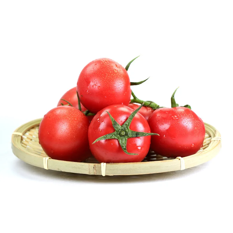 
resh Beef Tomato, Cherry Tomato, Fresh Plum Tomatoes for Sale 