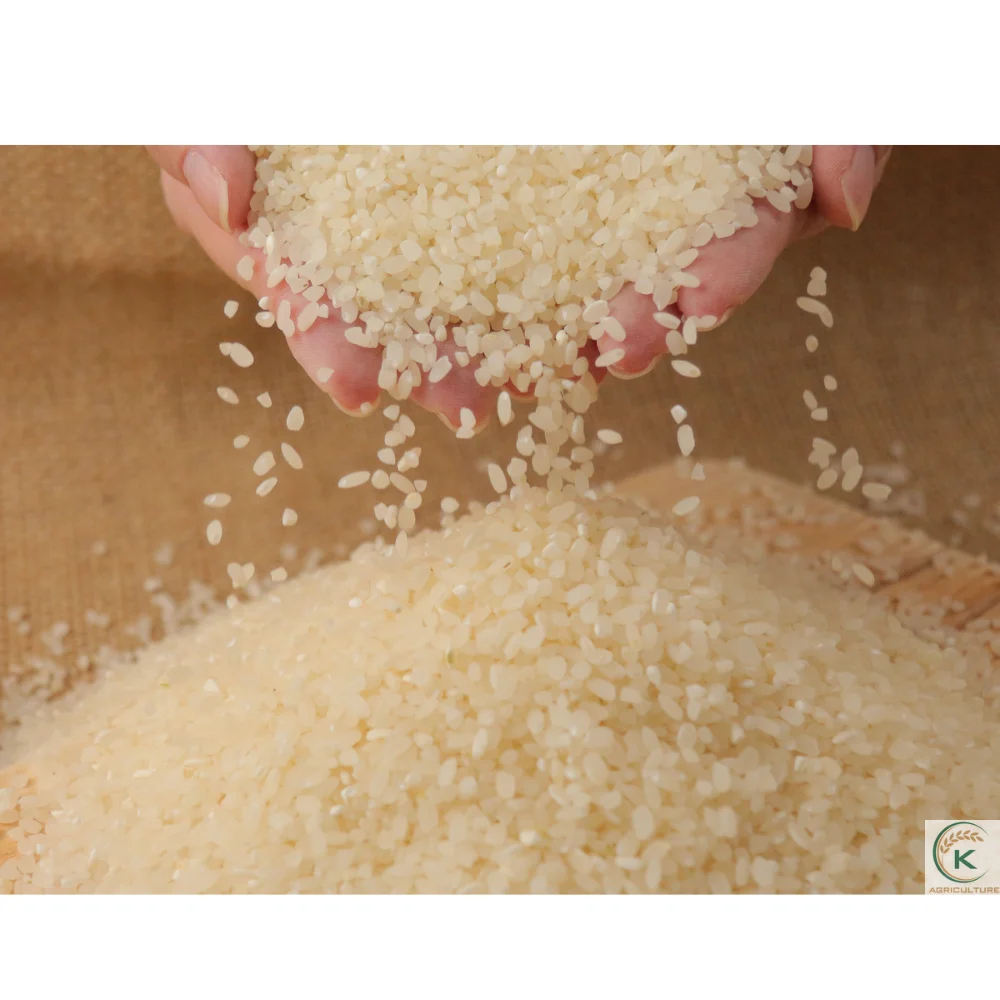[Vietnam] Best Selling of Highest Quality Japonica rice good Vietnamese rice Best Price rice japonica cheap 5% 10% Broken