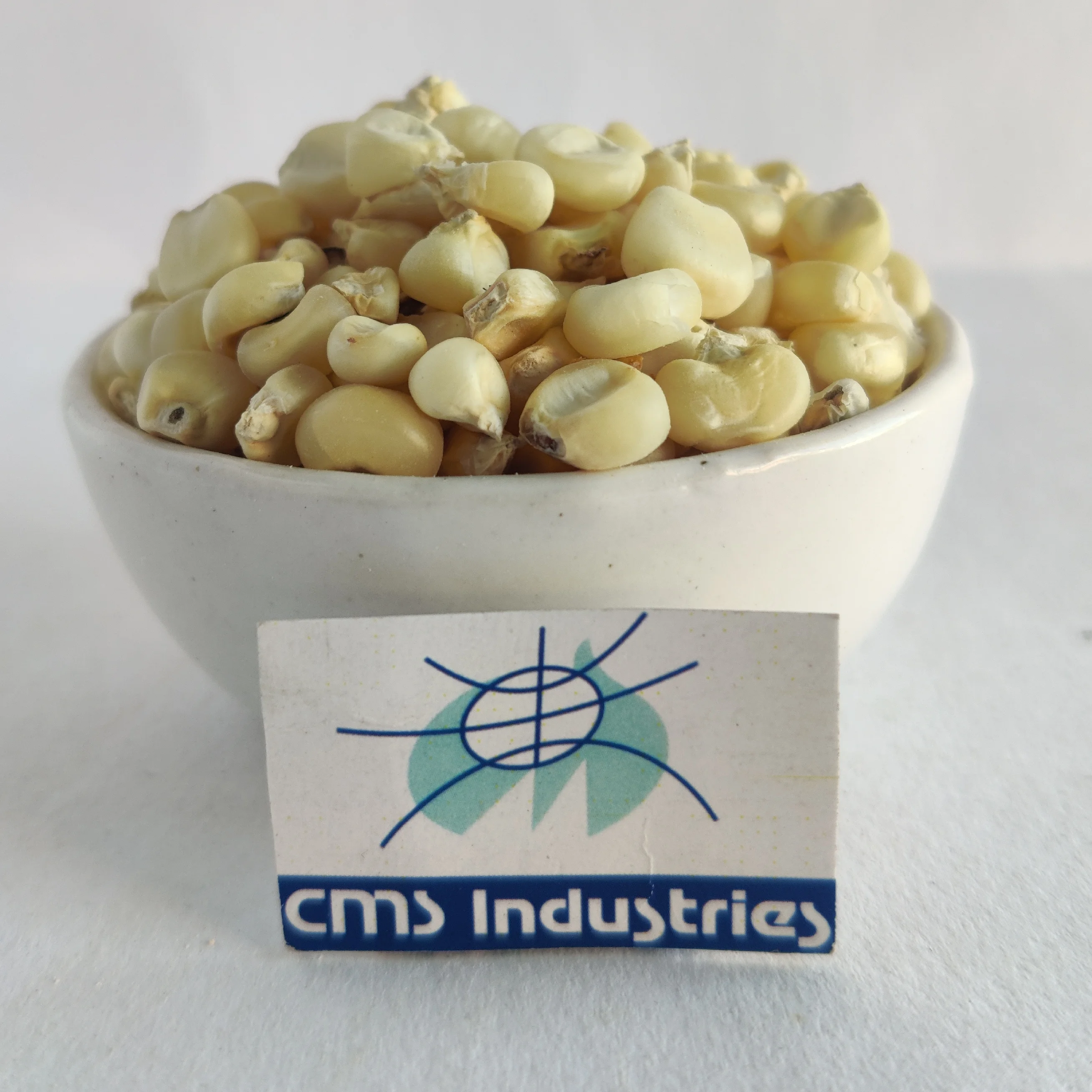 Gold Supplier of White Corn or Maize