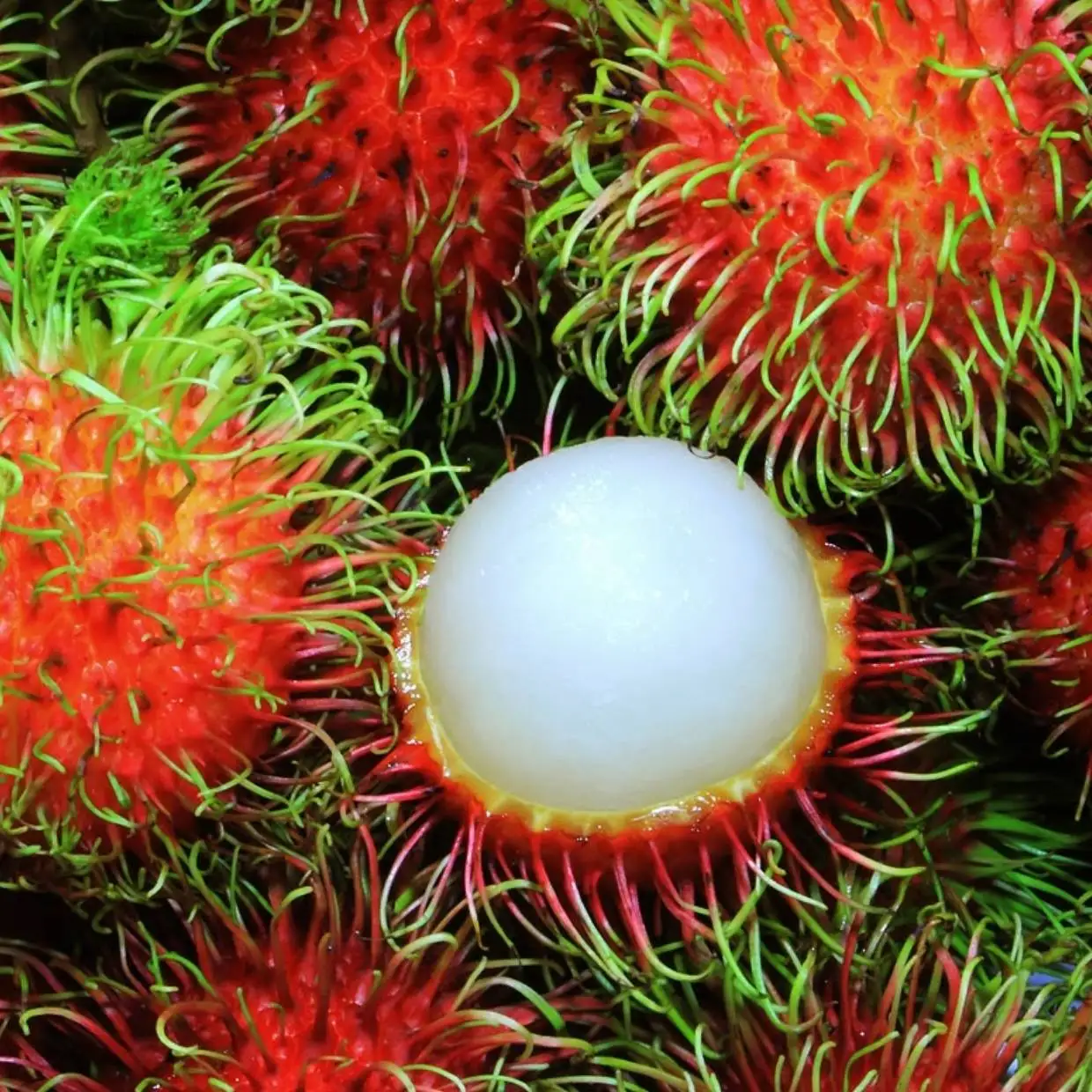 AD свежий Rambutan замороженный дегидрат продукт из Таиланда от бренда Zain