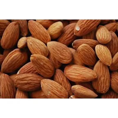 Top Quality Natural Apricot Kernels