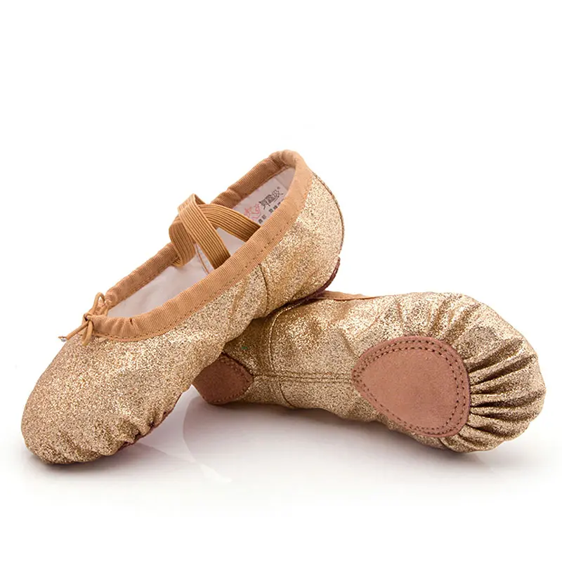 wholesale Ballet Shoes For Girls Soft Sole Flat Yoga Slippers Blue Pink Dancing Shoes Children Women Ballet Dance Shoes