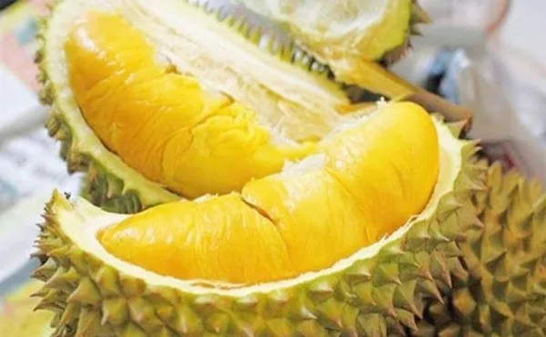 Premium Fresh Monthong Thai Durian Fresh Fruit With High Quality And Best  Price