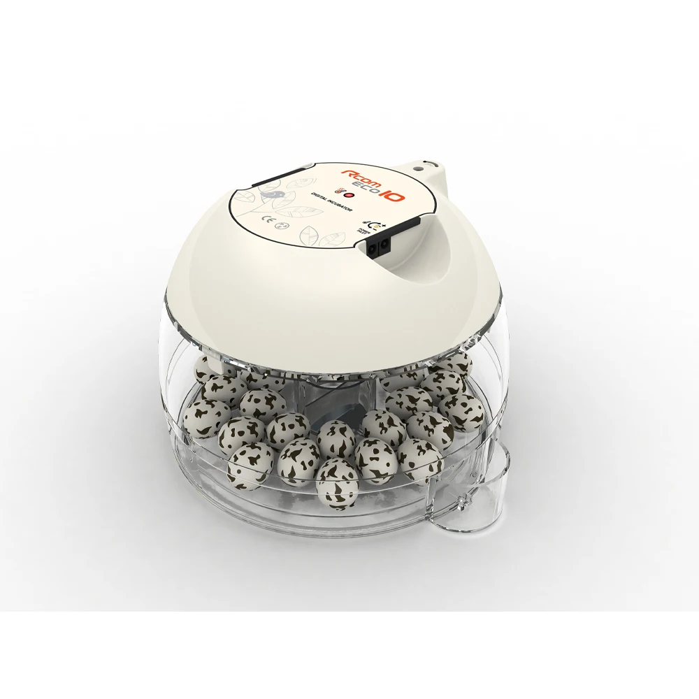 Эволюция цифрового инкубатора со светодиодным дисплеем инкубатор Rcom ECO PLUS 10