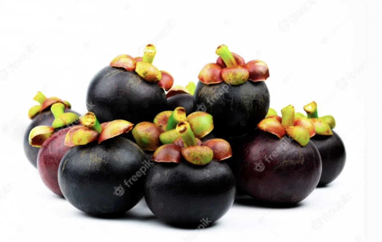 Mangosteen Fresh Organic Fresh Mangosteens From Thailand Fresh Natural MANGOSTEEN